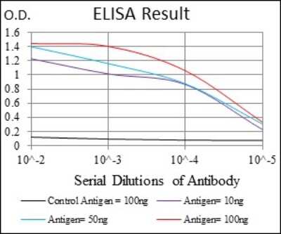 ELISA: EDR1/PHC1 Antibody (1F3F3) - BSA Free [NBP2-37371]