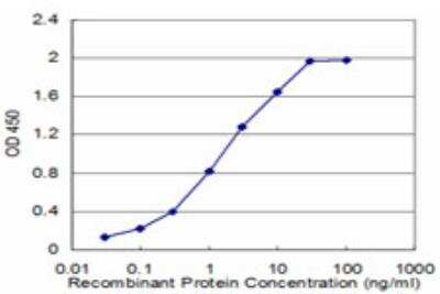 ELISA: EEA1 Antibody (2G2) [H00008411-M03]