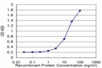 ELISA: EEF1D Antibody (4B12) [H00001936-M04]