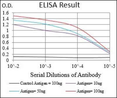 ELISA: EGFR Antibody (5E10D3) - BSA Free [NBP2-37326]