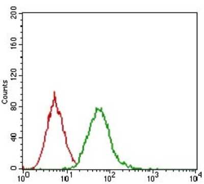 Flow Cytometry: EGFR Antibody (5E10D3) - BSA Free [NBP2-37326]