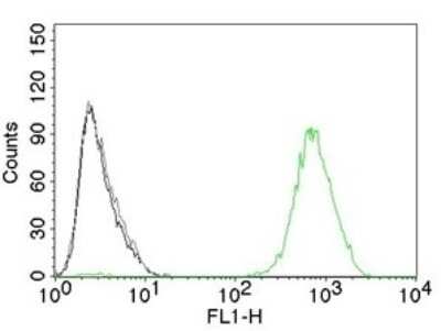 Flow Cytometry: EGFR Antibody (GFR450) [NBP2-29440]