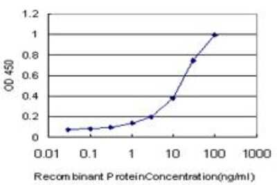 ELISA: EGR1 Antibody (3C7) [H00001958-M06]