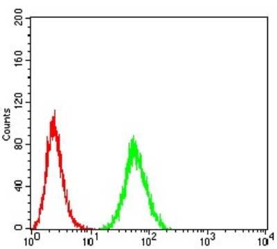 ELISA: EIF5 Antibody (6D6H11) - BSA Free [NBP2-61762]