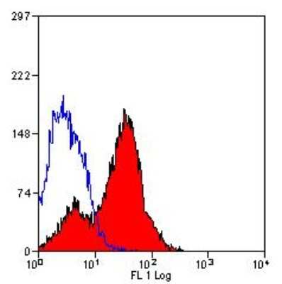 Flow Cytometry: EMMPRIN/CD147 Antibody (OX114) - BSA Free [NB100-65518]