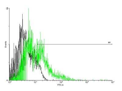 Flow Cytometry: EMR1 Antibody [H00002015-B01P]