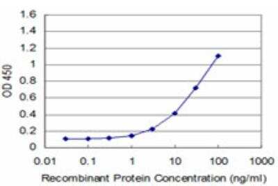 ELISA: EN1/Engrailed 1 Antibody (1F5) [H00002019-M06]