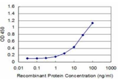 ELISA: EN1/Engrailed 1 Antibody (3H2) [H00002019-M04]