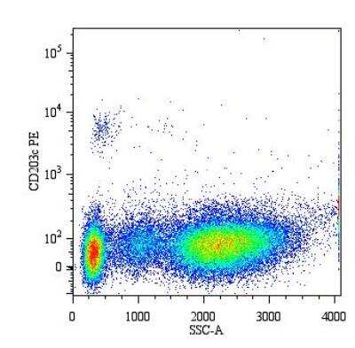 Flow Cytometry: ENPP-3/CD203c Antibody (NP4D6) - BSA Free [NBP1-44643]