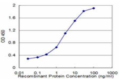 ELISA: EPB41L1 Antibody (2D10) [H00002036-M09]