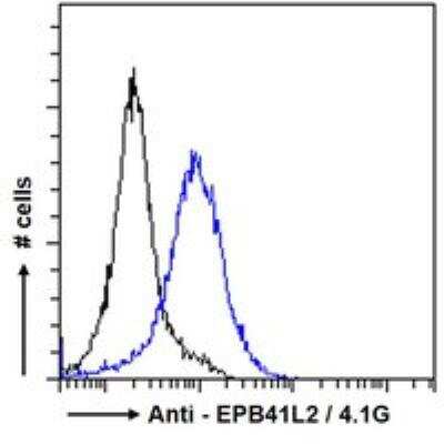 Flow Cytometry: EPB4IL2 Antibody [NBP1-06034]