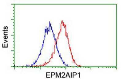 Flow Cytometry: EPM2AIP1 Antibody (OTI2A2) [NBP2-03092]