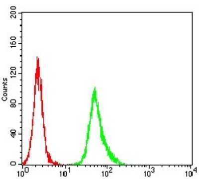 Flow Cytometry: ER alpha/NR3A1 Antibody (6A6E8) - BSA Free [NBP2-61764]