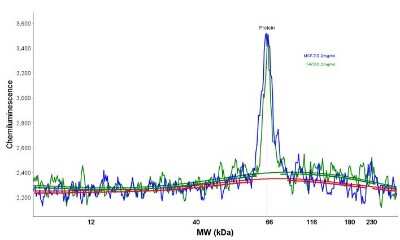 Simple Western: ER alpha/NR3A1 Antibody (ER506) [NBP2-33320]