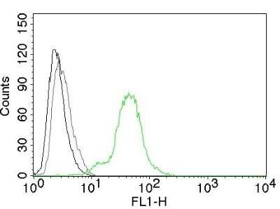 Flow Cytometry: ER beta/NR3A2 Antibody (ERb455) [NBP2-29439]