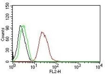 Flow Cytometry: ER beta/NR3A2 Antibody (ESR2/686) - Azide and BSA Free [NBP2-47797]