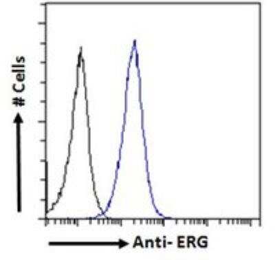 Flow Cytometry: ERG Antibody [NB100-2472]