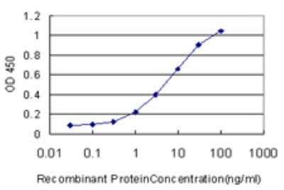 ELISA: ERH Antibody (4A10) [H00002079-M14]