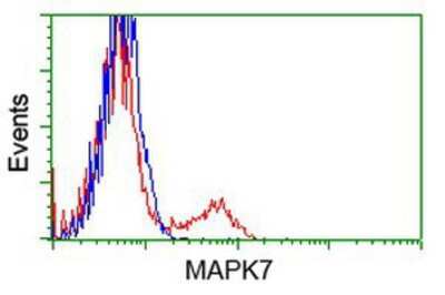 Flow Cytometry: ERK5/BMK1 Antibody (OTI3H2) [NBP2-03371]