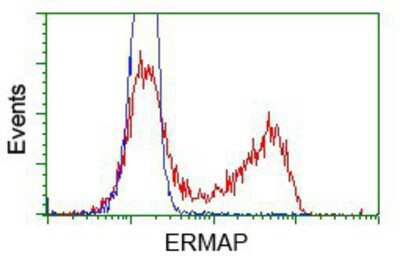 Flow Cytometry: ERMAP Antibody (OTIC8) [NBP2-02306]