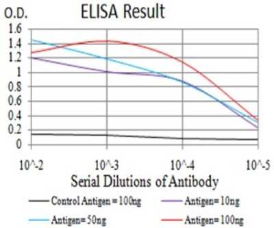 ELISA: ERR alpha/NR3B1 Antibody (1A6E11) - BSA Free [NBP2-61769]