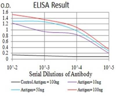ELISA: ERR alpha/NR3B1 Antibody (6F1E6) - BSA Free [NBP2-61768]