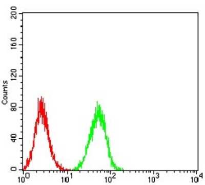 ELISA: ERR alpha/NR3B1 Antibody (6F1E6) - BSA Free [NBP2-61768]