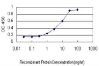 ELISA: ETV1 Antibody (2A8) [H00002115-M01]