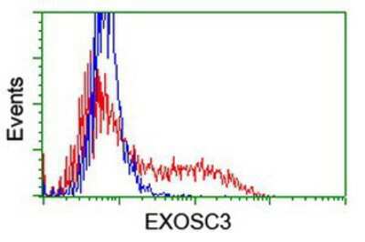 Flow Cytometry: EXOSC3 Antibody (OTI1D6) [NBP2-02070]