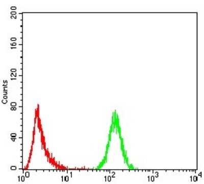 Flow Cytometry: Emerin Antibody (8F5G2) - BSA Free [NBP2-52460]