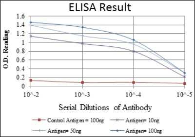 ELISA: Endoglin/CD105 Antibody (3A9) - Azide and BSA Free [NBP2-80719]