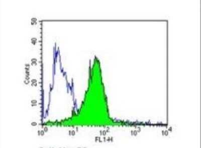 Flow Cytometry: Endothelin-1 Antibody (TR.ET.48.5) - BSA Free [NB300-526]