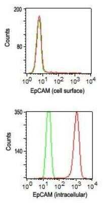 Flow Cytometry: EpCAM/TROP1 Antibody (60N5D8) - Azide and BSA Free [NBP2-80722]