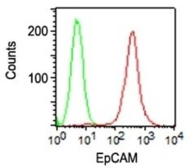 Flow Cytometry: EpCAM/TROP1 Antibody (VU-1D9) [NBP2-33051]