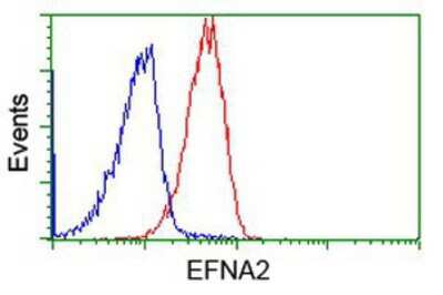 Flow Cytometry: Ephrin-A2 Antibody (OTI3E3) [NBP2-02810]