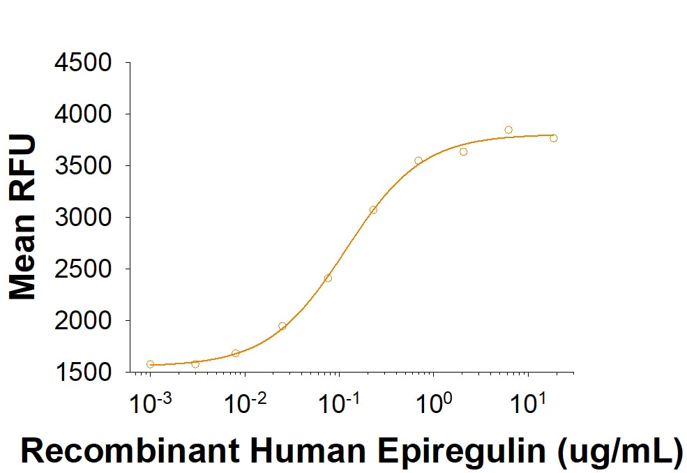 Recombinant Human Epiregulin Protein Bioactivity