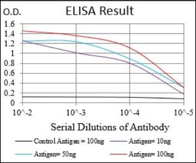 ELISA: Epsilon 1 Tubulin Antibody (7G3B2) - BSA Free [NBP2-37244]