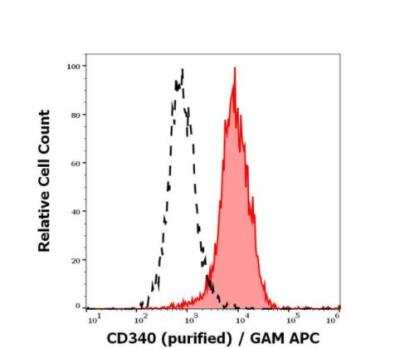 Flow Cytometry: ErbB2/Her2 Antibody (24D2) - BSA Free [NBP3-09136]