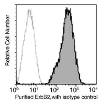 Flow Cytometry: ErbB2/Her2 Antibody (511) [NBP2-89187]