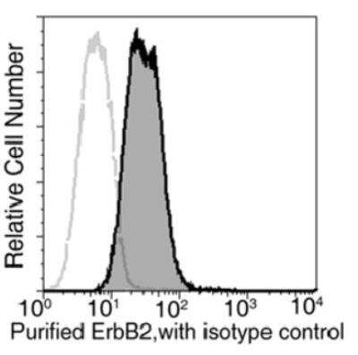 Flow Cytometry: ErbB2/Her2 Antibody (511) [NBP2-89187]