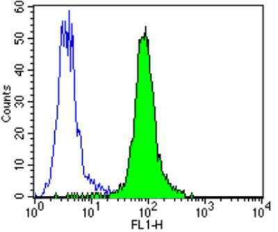 Flow Cytometry: ErbB4/Her4 Antibody (H4.77.16 (Ab77)) [NB120-3104]