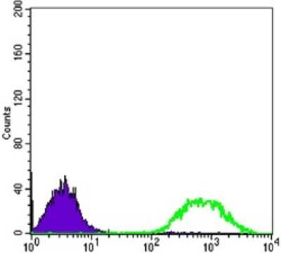 Flow Cytometry: Ets-1 Antibody (8A8) - BSA Free [NBP2-22169]
