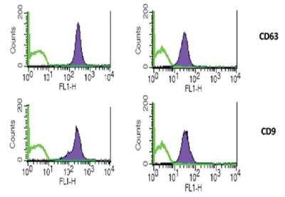 Flow Cytometry: Exosome Standards (PC3 cell line) [NBP2-49856]