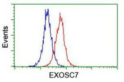 Flow Cytometry: Exosome component 7 Antibody (OTI1G8) [NBP2-01732]