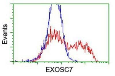 Flow Cytometry: Exosome component 7 Antibody (OTI1G8) [NBP2-01732]