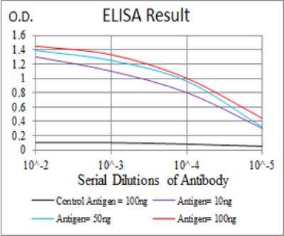 ELISA: Ezrin Antibody (6F1C3) - BSA Free [NBP2-52464]