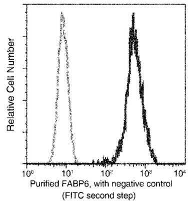 Flow Cytometry: FABP6 Antibody (201) [NBP2-90127]