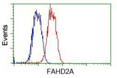 Flow Cytometry: FAHD2A Antibody (OTI6D9) - Azide and BSA Free [NBP2-71886]