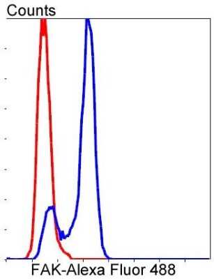 Flow Cytometry: FAK Antibody (SR46-04) [NBP2-67327]