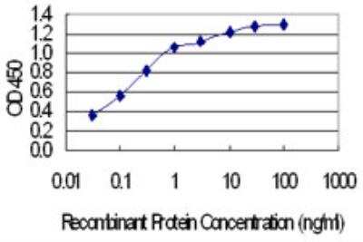 ELISA: FAM100A Antibody (6D9) [H00124402-M05-100ug]